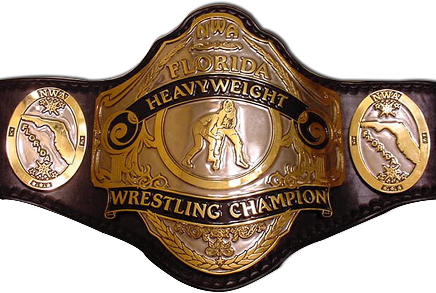 NWA Florida Heavyweight Title Replica Championship Wrestling Adult Belt ...